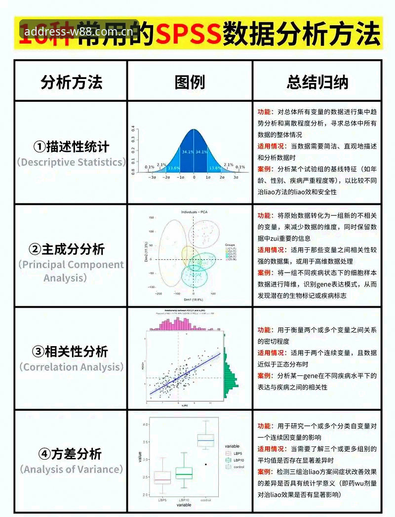 资深分析师分享w88优德深度统计教程：从数据洞察到赛事预测的实战经验